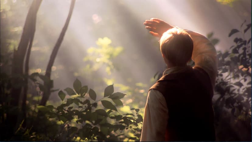 Joseph Smith's first vision